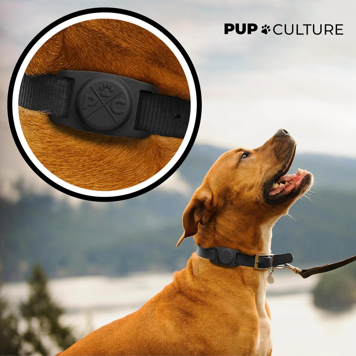 TrackTag Durable AirTag Dog Collar Holder