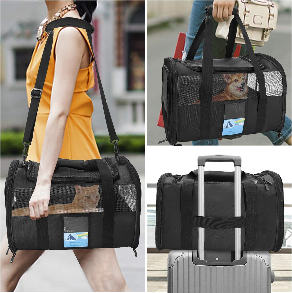 JetSet Airline-Approved Pet Carrier – Cats & Small Dogs