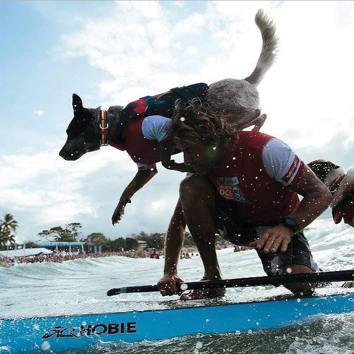 SplashGuard Pro Dog Life Jacket
