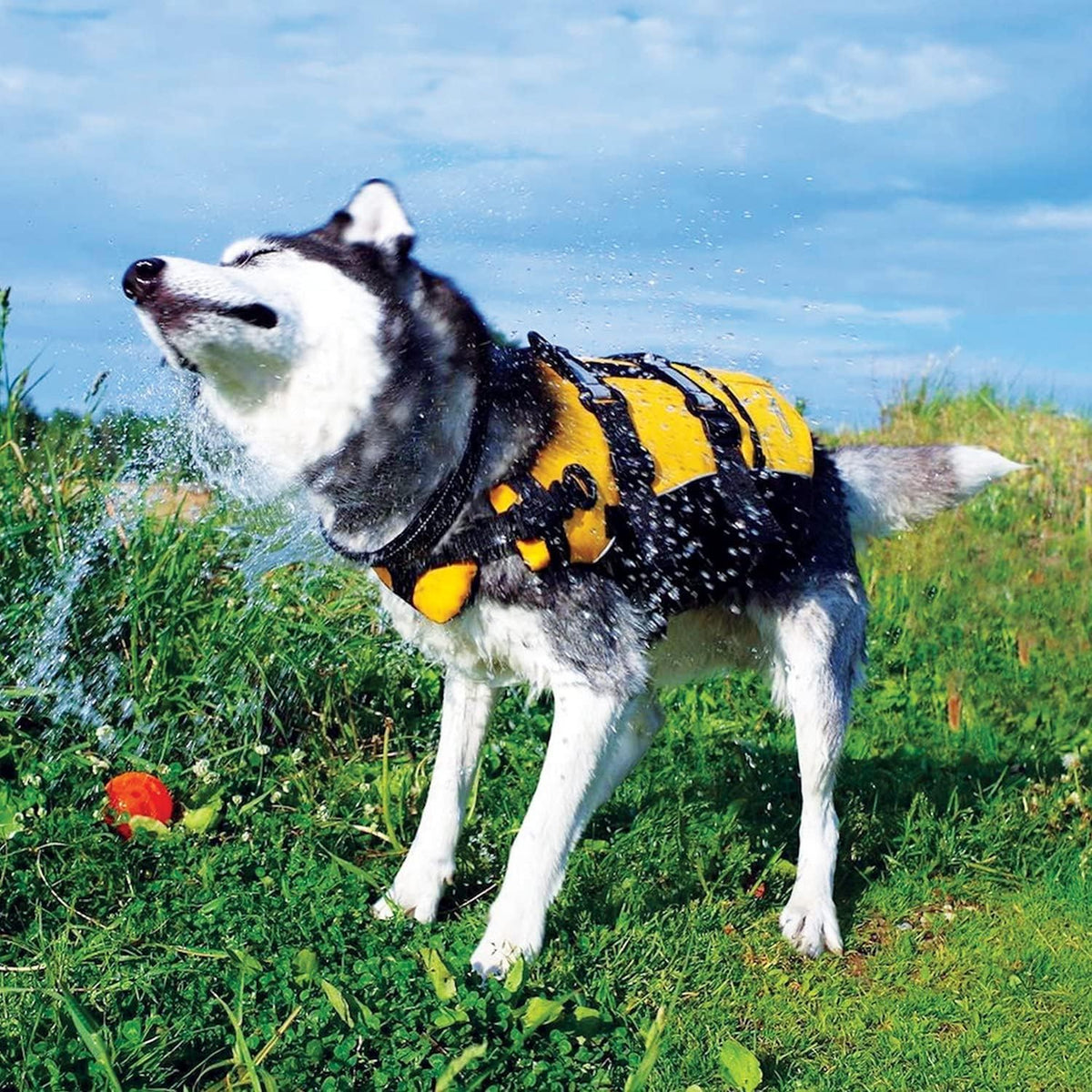 SplashGuard Pro Dog Life Jacket